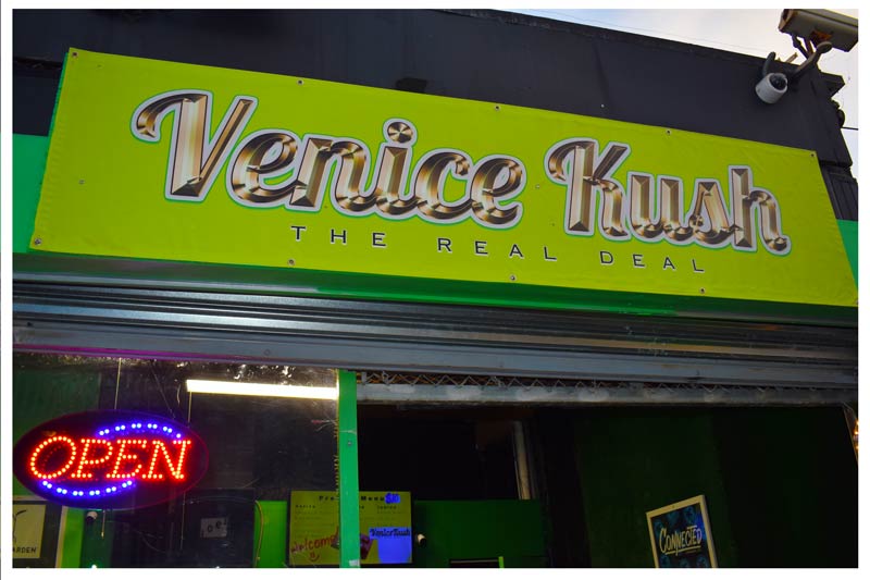 Venice Kush store front on Venice Beach Boardwalk